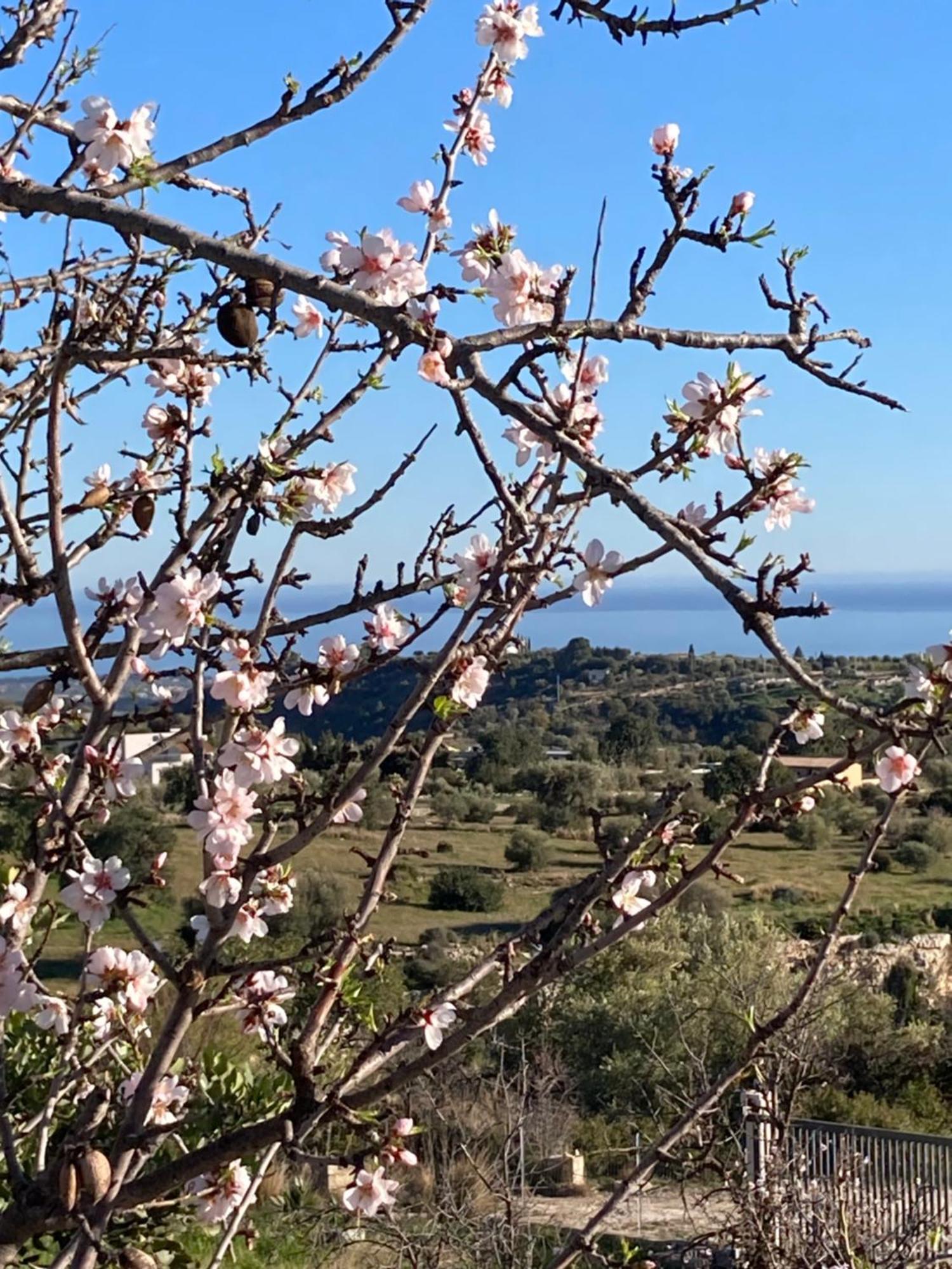 "Bnb Noto" - Charming Tiny House Εξωτερικό φωτογραφία